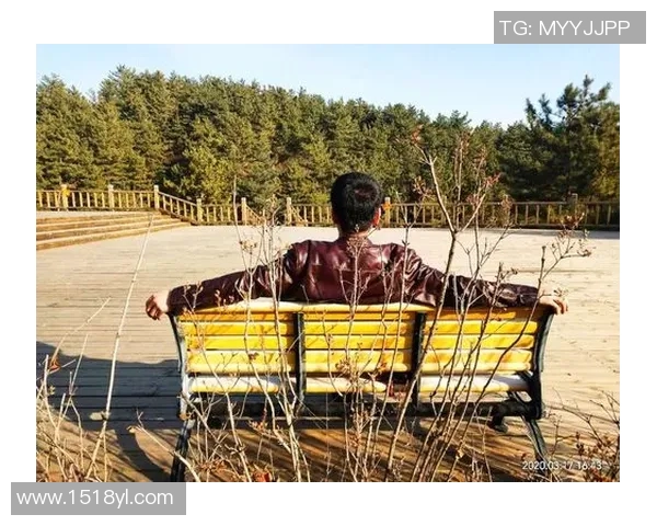 探索vs927的潜力与应用前景在科技创新中的重要性与影响力分析